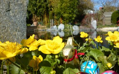Wir wünschen ein schönes Osterfest und erholsame Ferien