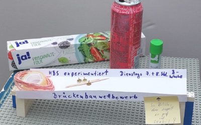 Vorstellung der AG: HBS Experimentiert von Herrn Kindinger