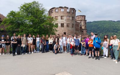 Mit dem Bollerwagen durch den Odenwald